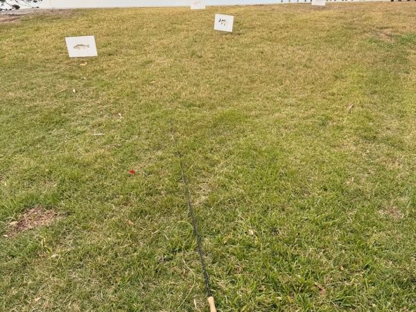 Saltwater fly fishing basics: Tackle