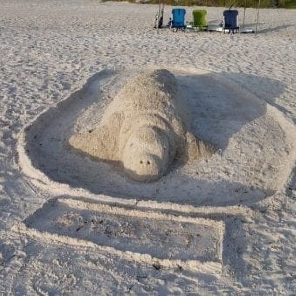 Snooty sand sculpture