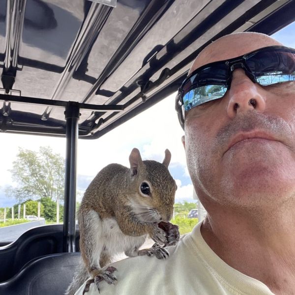 DOH warns against feeding wild animals