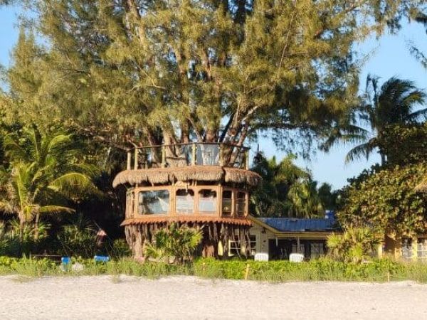 Tree house closer to demolition