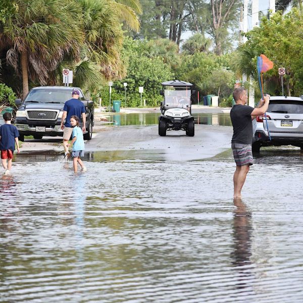 Elsa takes it easy on Anna Maria Island