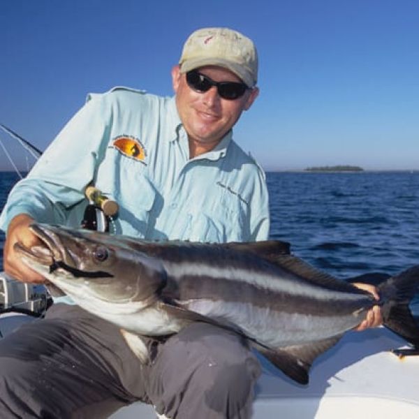 Spring fever? Go for cobia