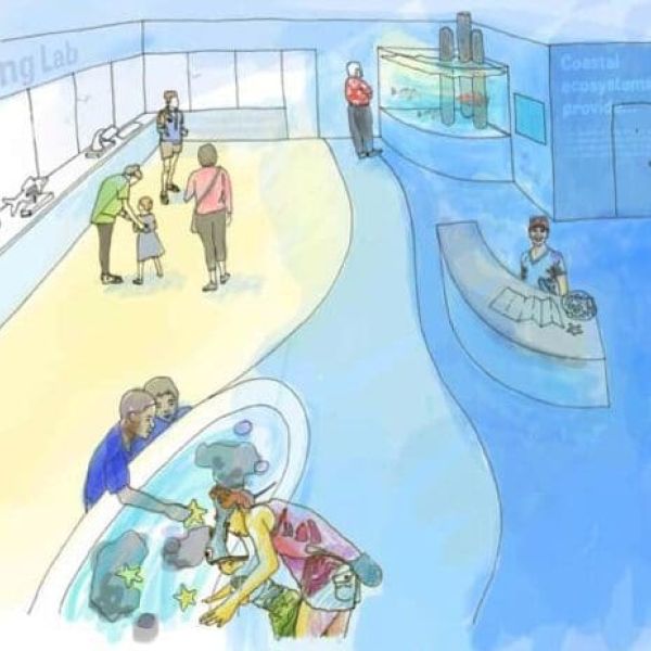 City, Mote Marine move forward on pier facility