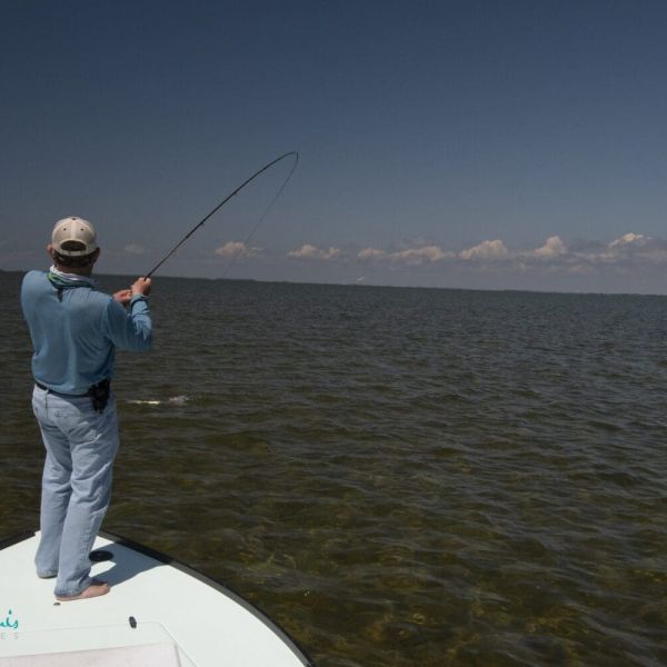 Check, check and double check!