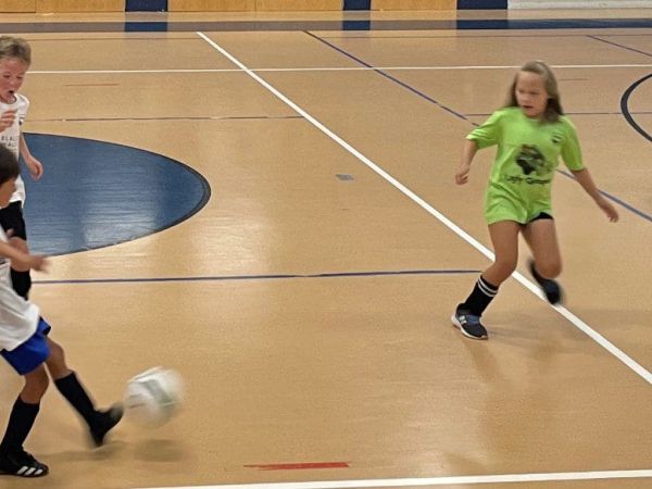 First indoor wins for Bridgetender, Moss