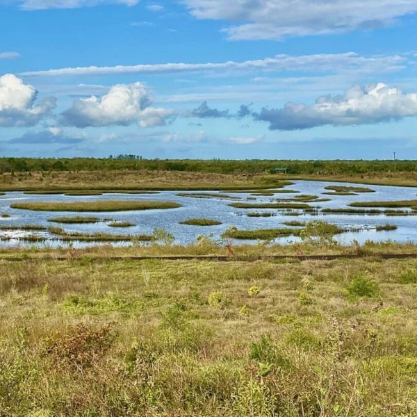 Reel Time: Oyster River Ecology moving restoration forward