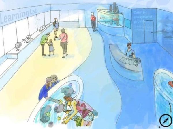 City, Mote Marine move forward on pier facility