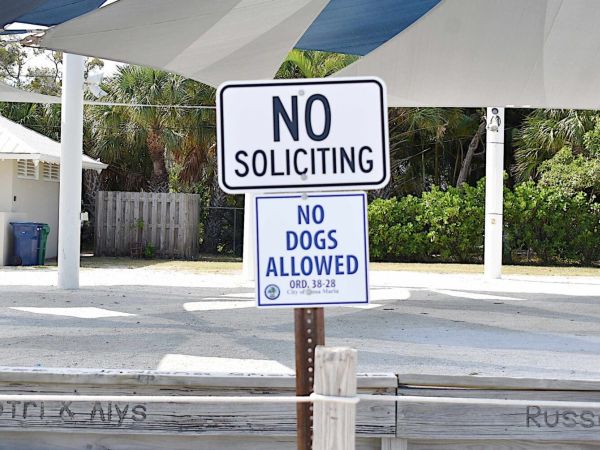 Commission discusses dogs at City Pier Park