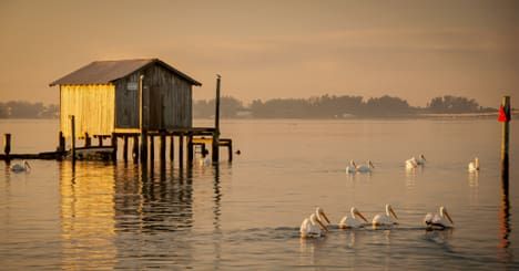 An anniversary of resilience