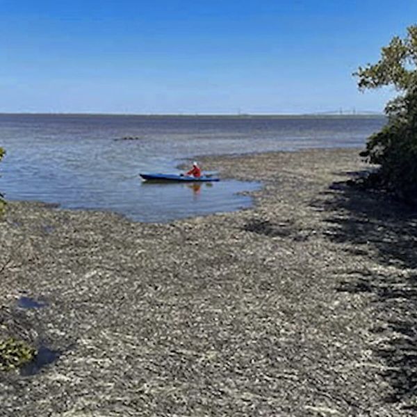 2024-25 budget passes first hearing