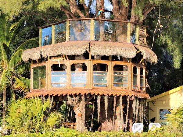 Judge orders demolition of treehouse