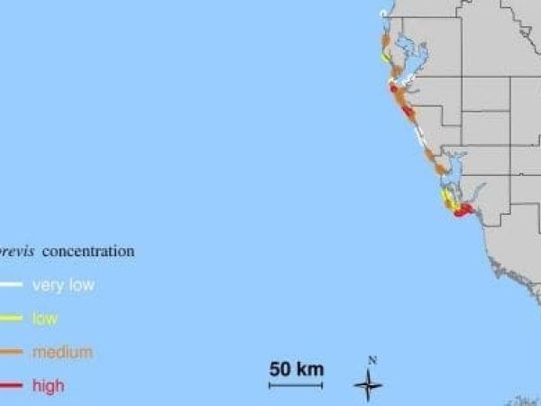 Red tide map