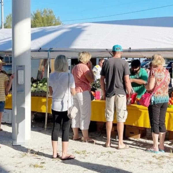 Anna Maria farmers market returns