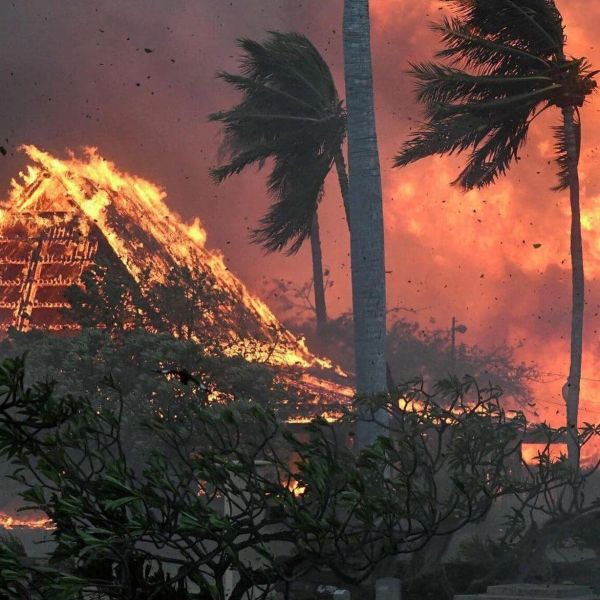 AMI natives lend helping hands in Maui fires