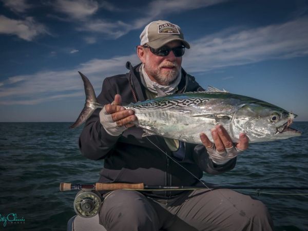 Reel Time: Little tunny time?