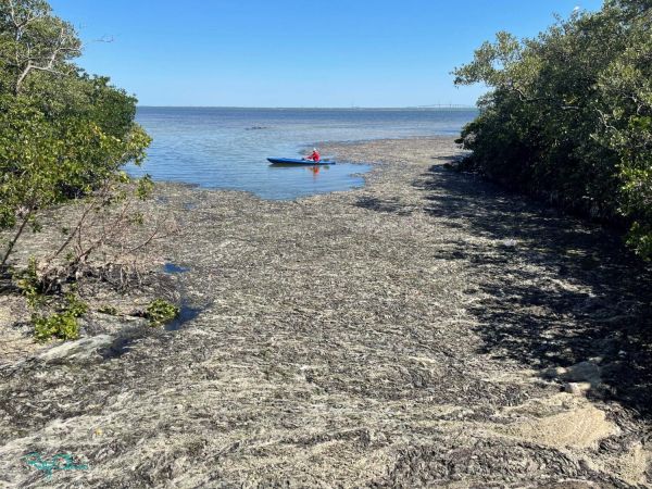 Reel Time: The price of inaction