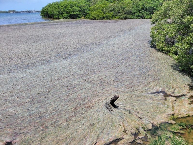 Committee to focus on prevention