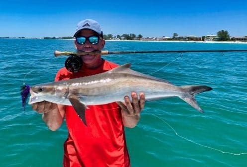 Reel Time: The cobia