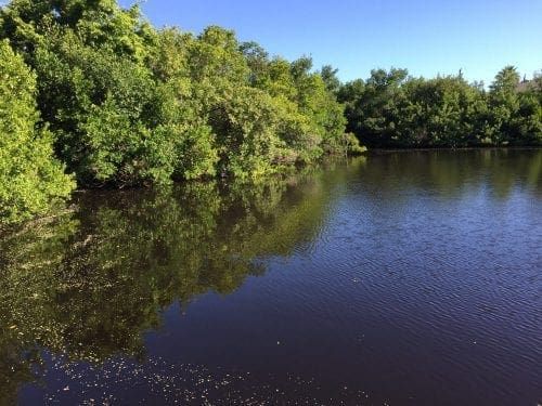 Holmes Beach Spring Lake update