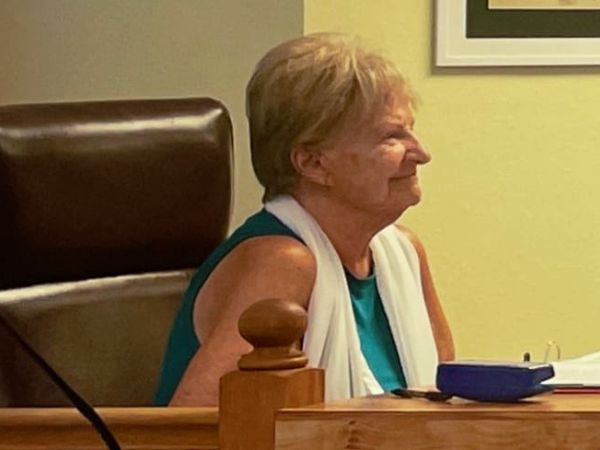 Vosburgh not seeking reelection