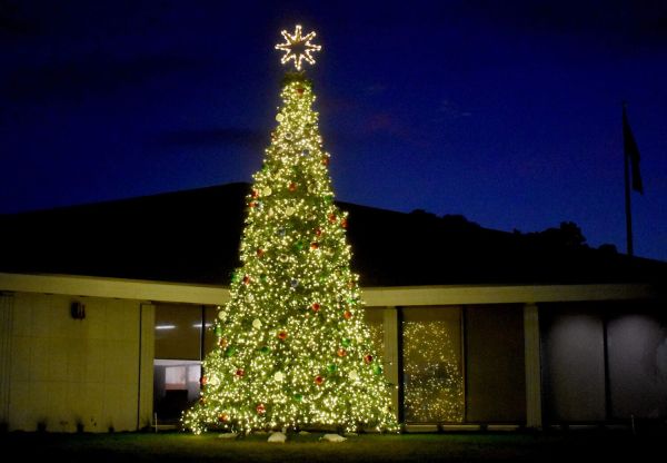 AMI Chamber celebrates Christmas tree lighting