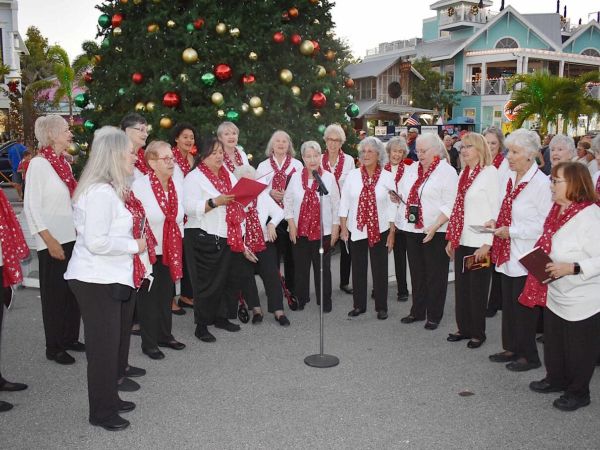 Christmas tree lights up Bridge Street
