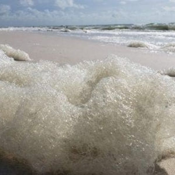 Red tide foam