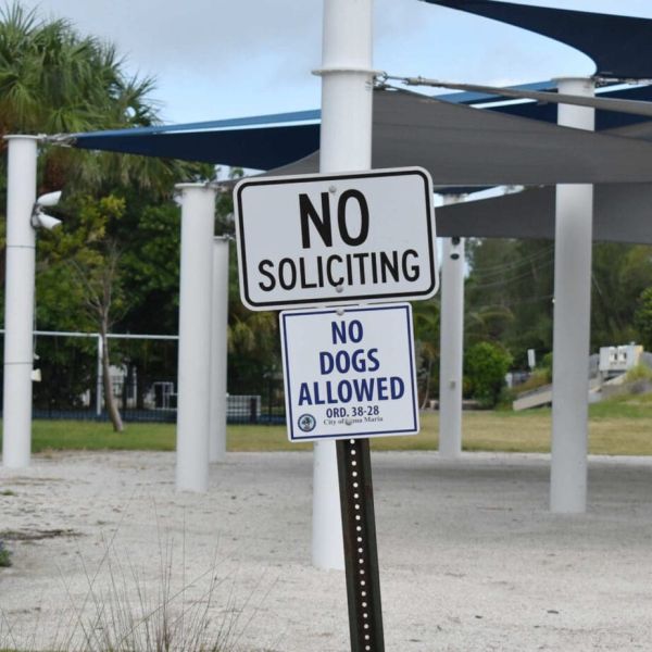 Board suggests allowing dogs in City Pier Park