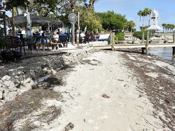 Shoreline project no longer includes concrete wall