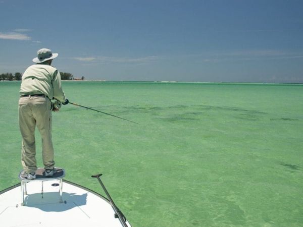&lsquo;Gulf, The Making of an American Sea&rsquo;
