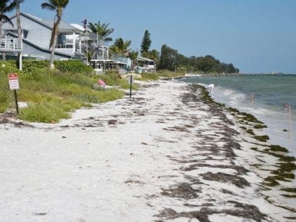 mean high water line Anna Maria