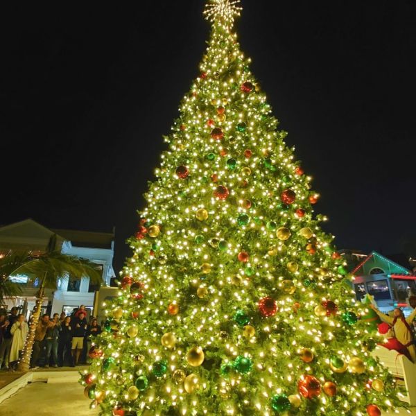 Christmas tree lights up Bridge Street