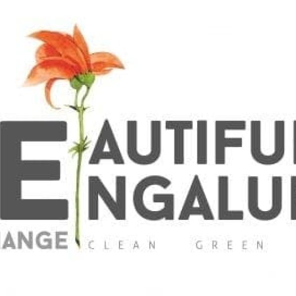 Earthy ideas from The Sun