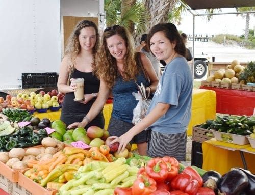 Anna Maria farmers&rsquo; market returns