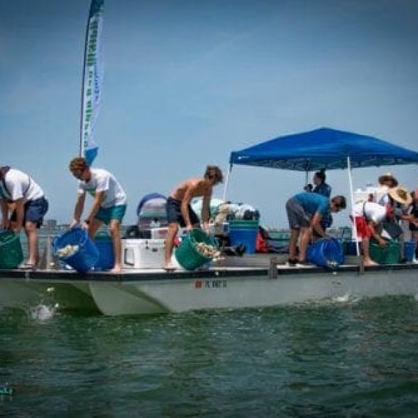 Reel Time: Scallopalooza, It&rsquo;s Clamtastic