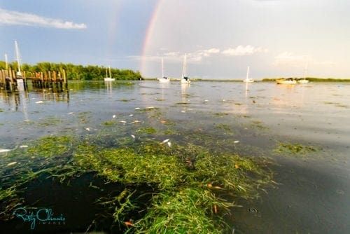 Reel Time: Waterkeeper Alliance holding polluters accountable