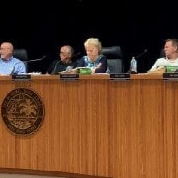 Commissioner proposes unique solution to noise