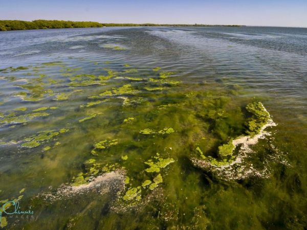 Reel Time: Brunch for the Bay 2022