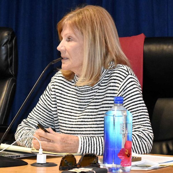 Planning commission will not review site plans