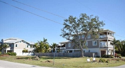 Grand Tree Anna Maria