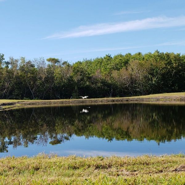 FISH Preserve opens this week