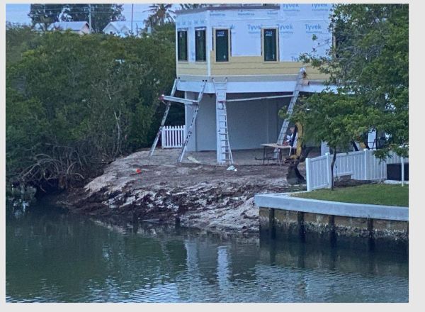 Mangrove removal triggers scrutiny