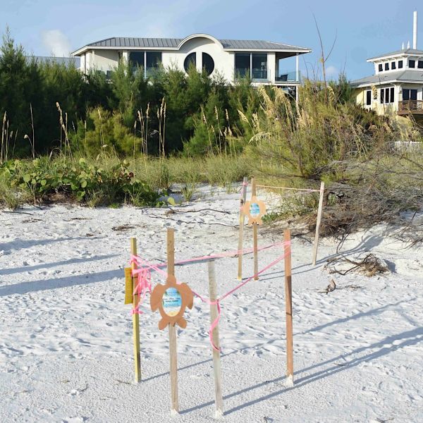 FDEP allows beachfront development