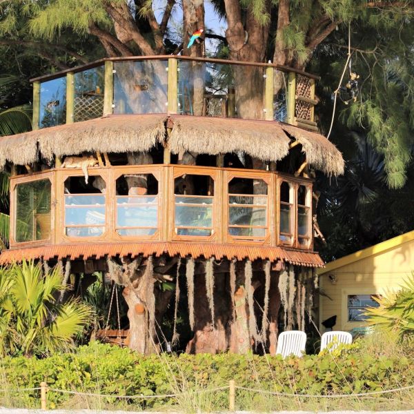 Treehouse owners get no relief from special magistrate