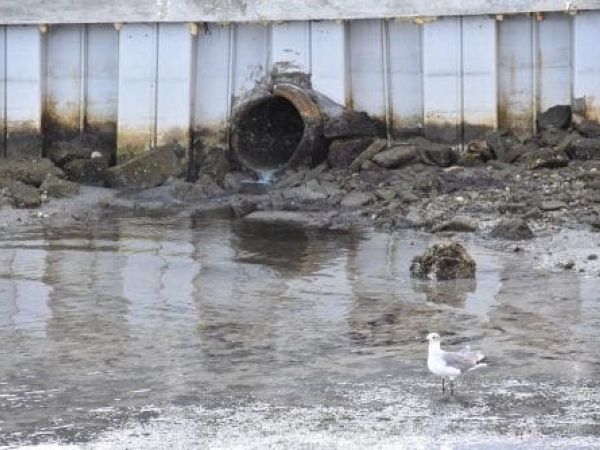 Bradenton Beach stormwater outflow