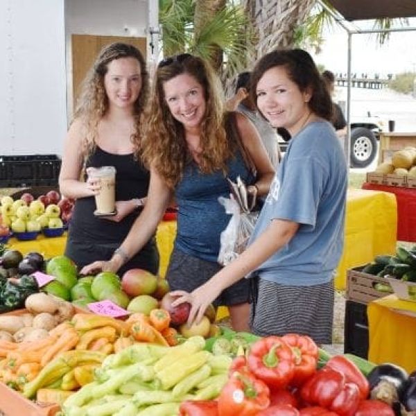 Anna Maria farmers&rsquo; market returns