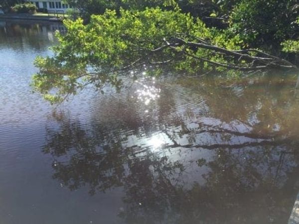Spring Lake