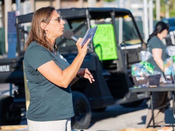 Sea turtle season ends with successful fundraiser