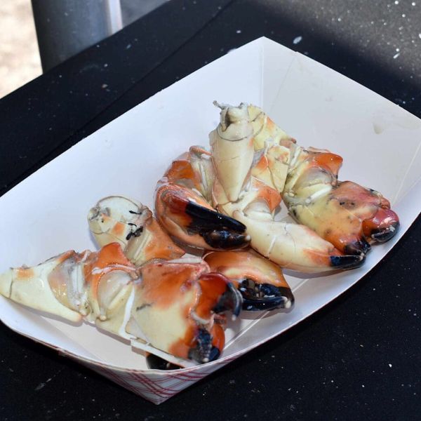 Stone Crab Festival draws crowd to Cortez