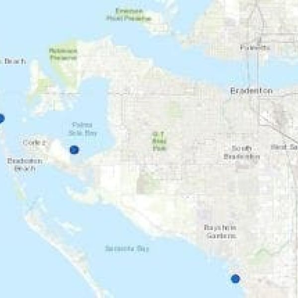 Non-toxic blue-green algae lingers